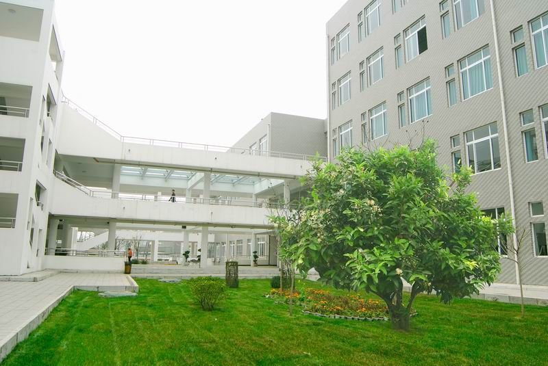 四川旅游学院创新创业学院2021年招聘科研助理启事