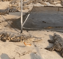 魔幻的币圈Q1！笑死我算了