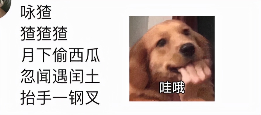 小学生改写《咏鹅》变成《咏妈》，老师批语哭笑不得，评论区亮了