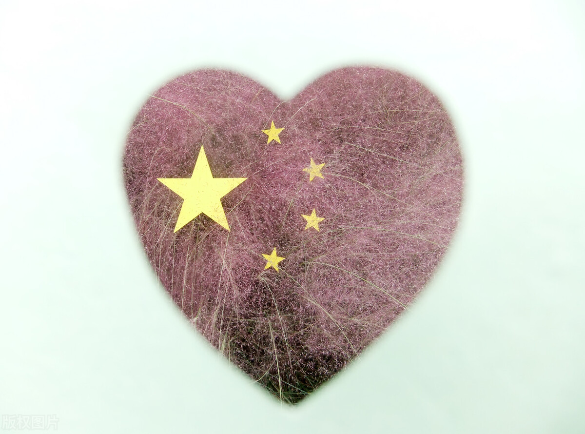 为何要发展中医药，换个角度就明白了