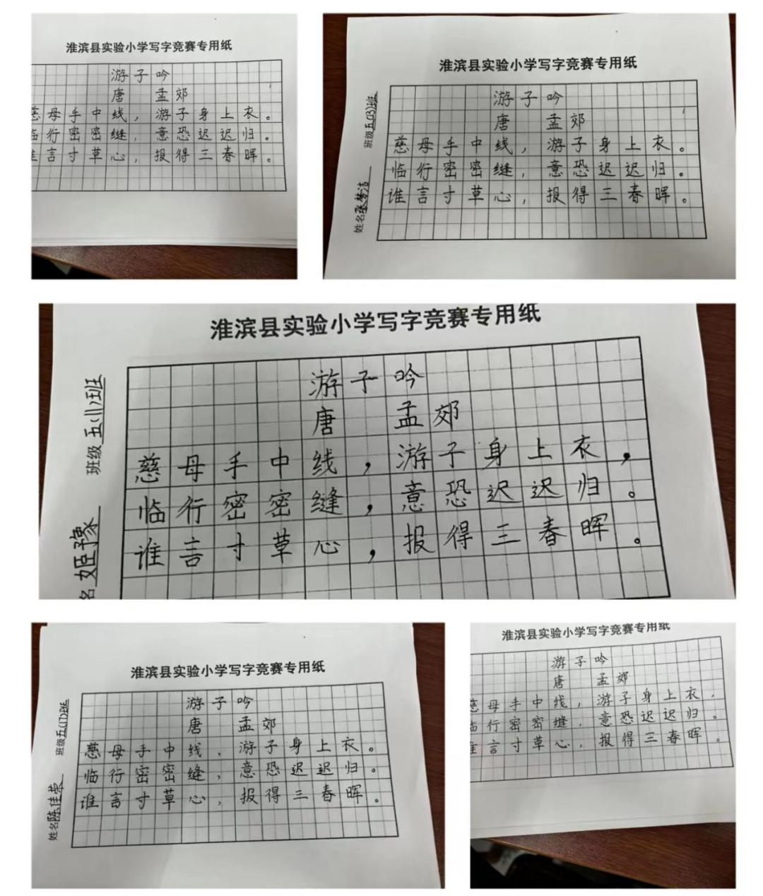 淮滨县实验小学开展“争当小小书法家”(图12)