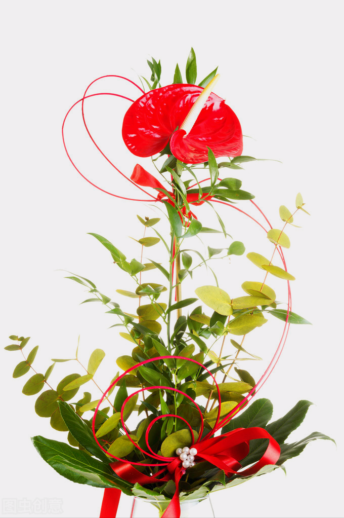 一花一世界，一念新年至，一念花迎春，愿时光安好，岁月含香