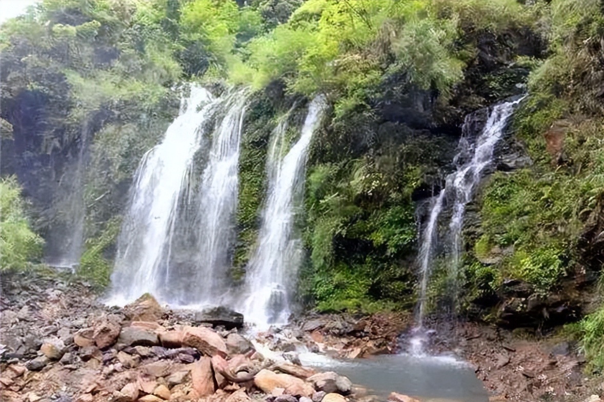四川有个国家公园，它被誉为“天然氧吧”