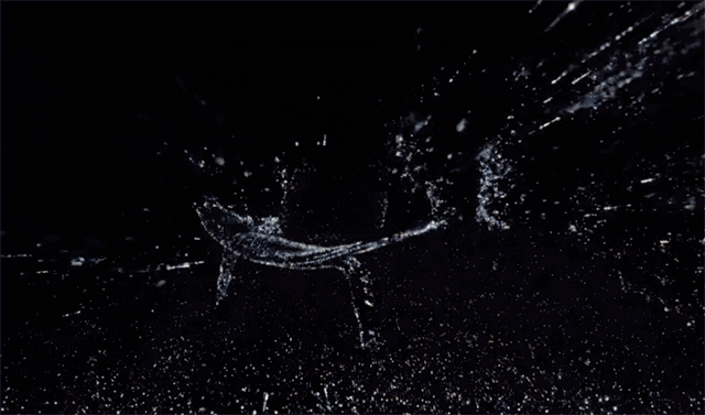 这些传感器，成就了苹果的16万亿市值