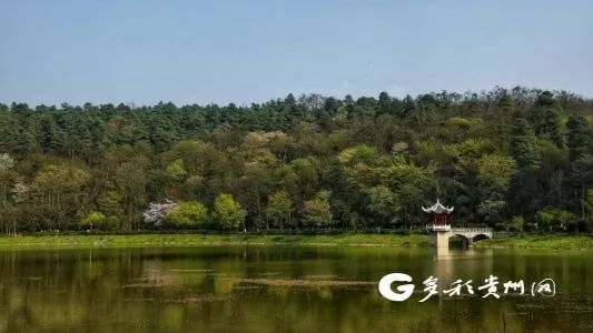 全面开挂！2022年的贵阳真的不得了，即将迎来大爆发