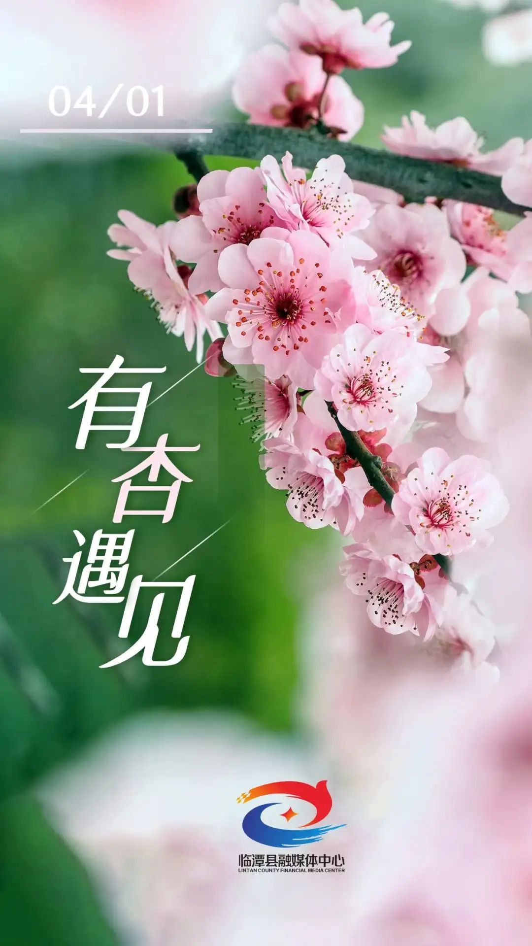 四月你好丨春暖花开、奔你而来