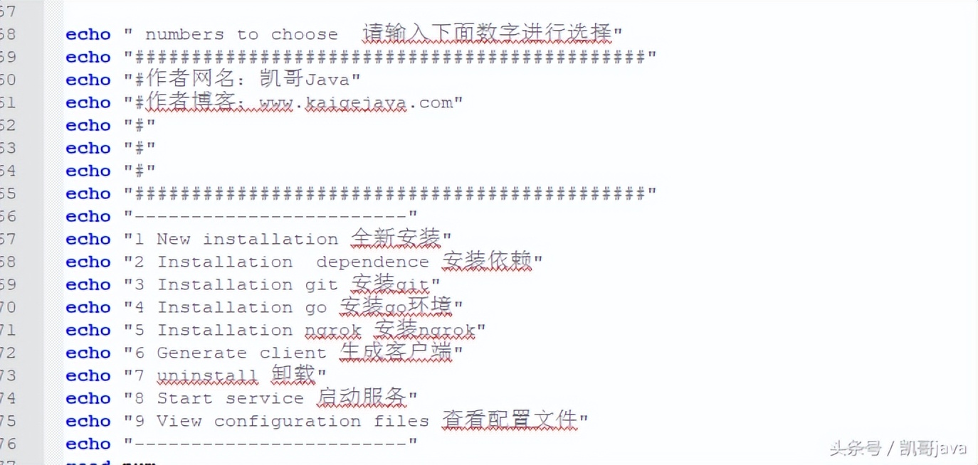 内网穿透利器-ngrok的图文安装