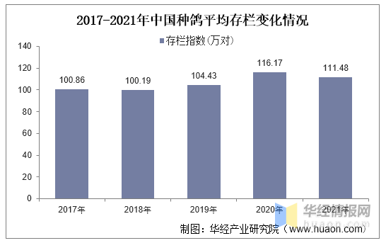 2021年中国鸽业生产形势分析，养殖自动化程度逐渐提高「图」