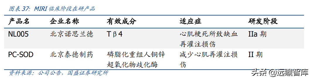 基因治疗大时代，诺思兰德：一马当先，50亿级别重磅单品价值低估