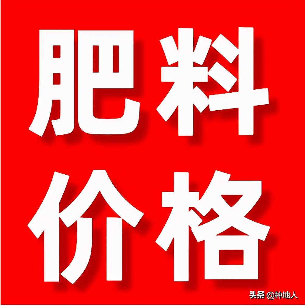 上涨20-50元！今日复合肥、磷铵、钾肥价格行情！2022年3月16日