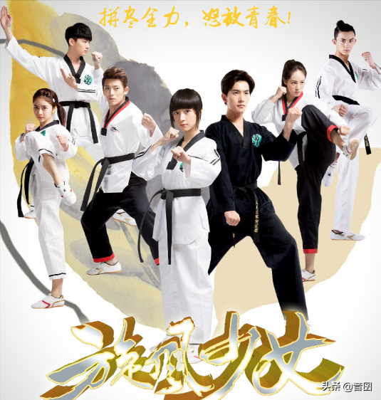 好剧推荐｜分享16部“体育运动”题材的电视剧，你看过几部呢？