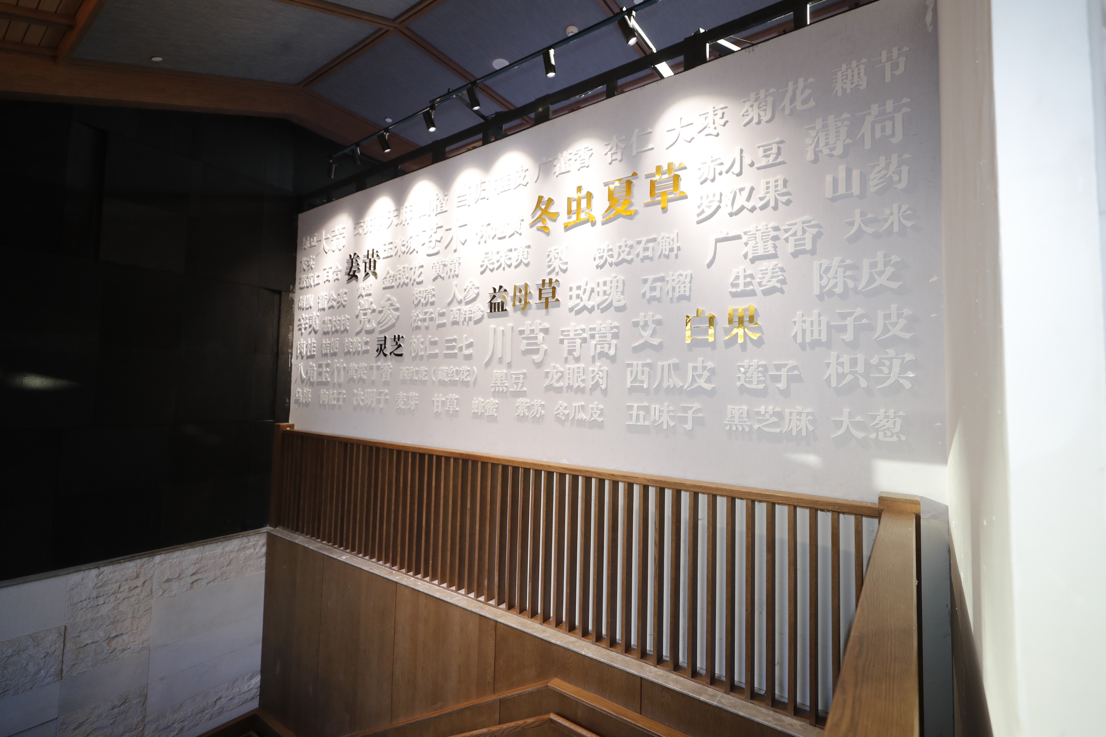 让观众“秒懂中医”，中医药体验馆亮相冬奥村