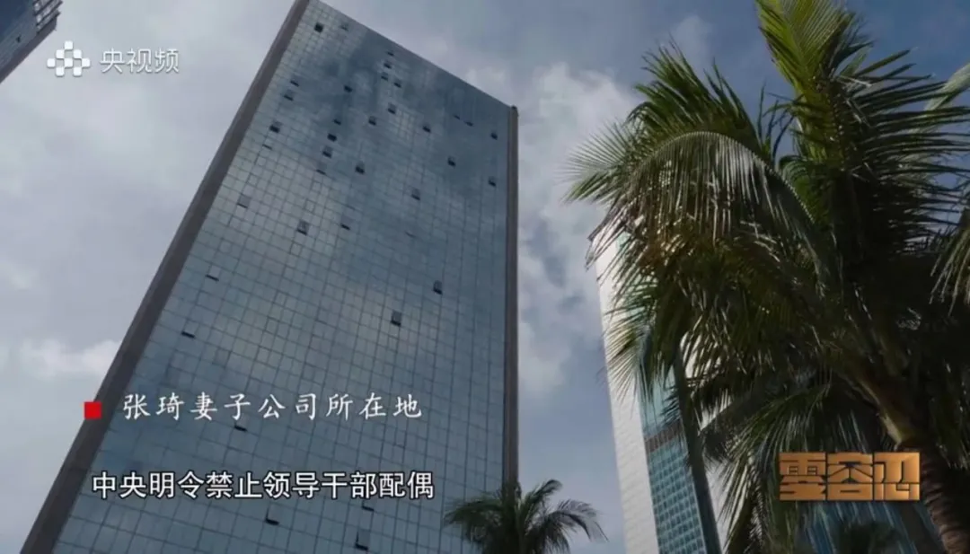 首次披露！落马前安排儿子出逃，“海南虎”张琦之子名列“红通”