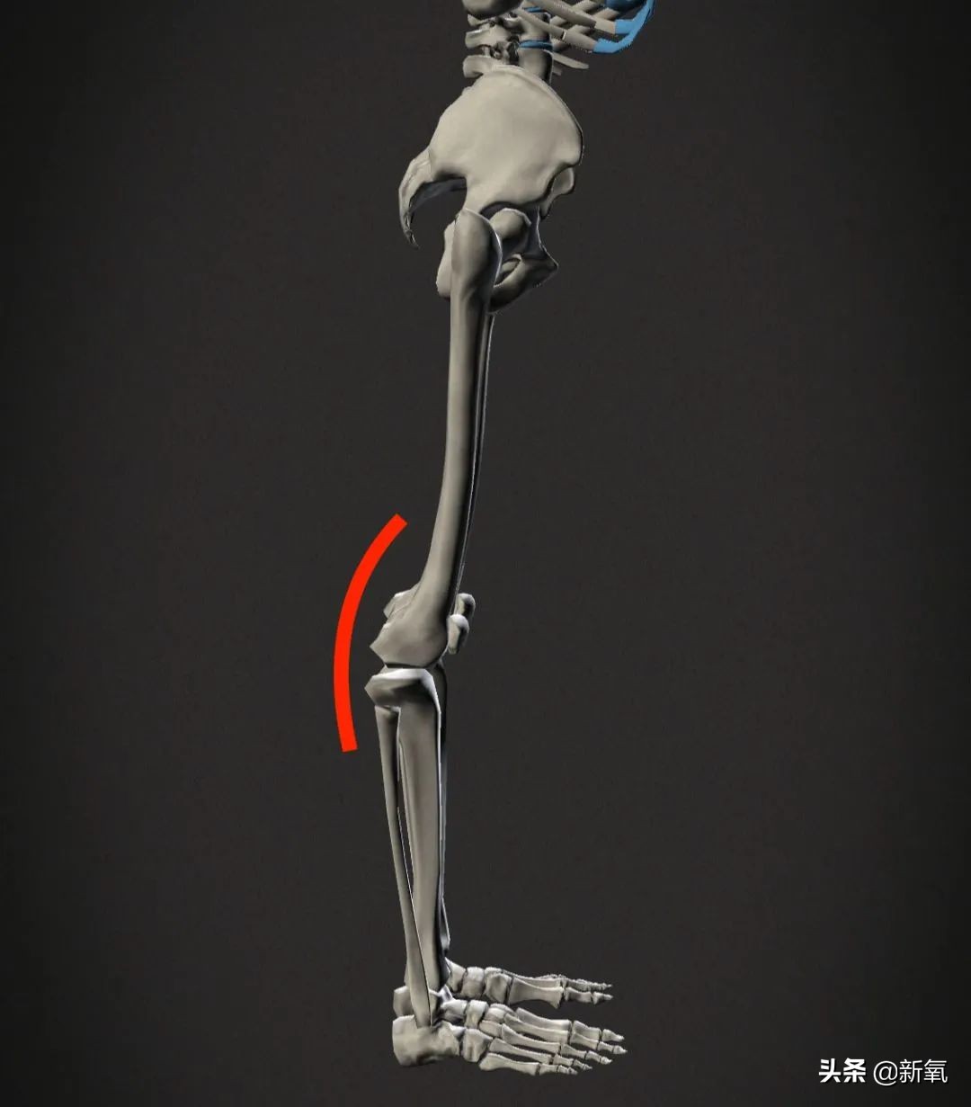 虽然确实靠脸力压过天仙，但这次的造型真是尬穿地心吧…