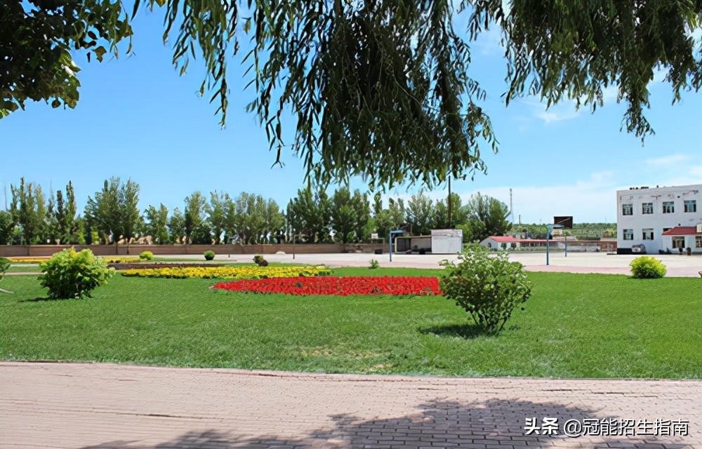 成都计算机学校学习计算机专业都有些什么技能-哪些好就业