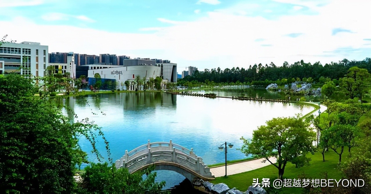 肇庆学院2021年广东省各专业录取分数和排位情况