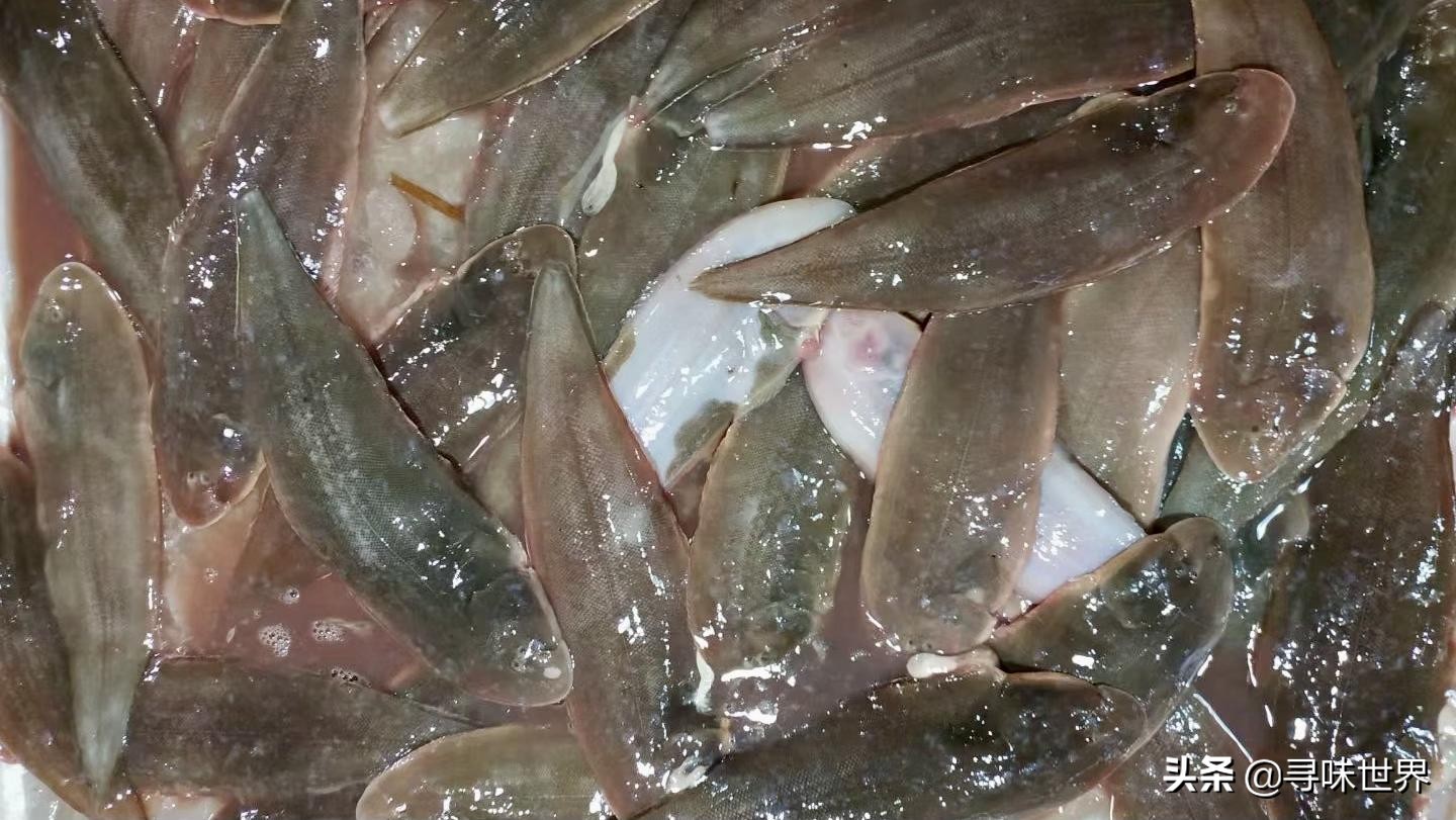 春夏季海鱼9大排名来了,都是优质的海鱼品种,贵点也值得品味