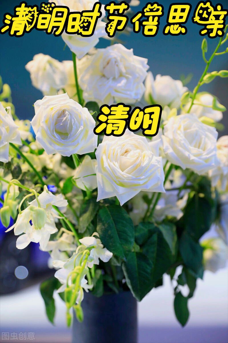 怀念已故亲人的图片(一花一思念) - 赤虎壹号