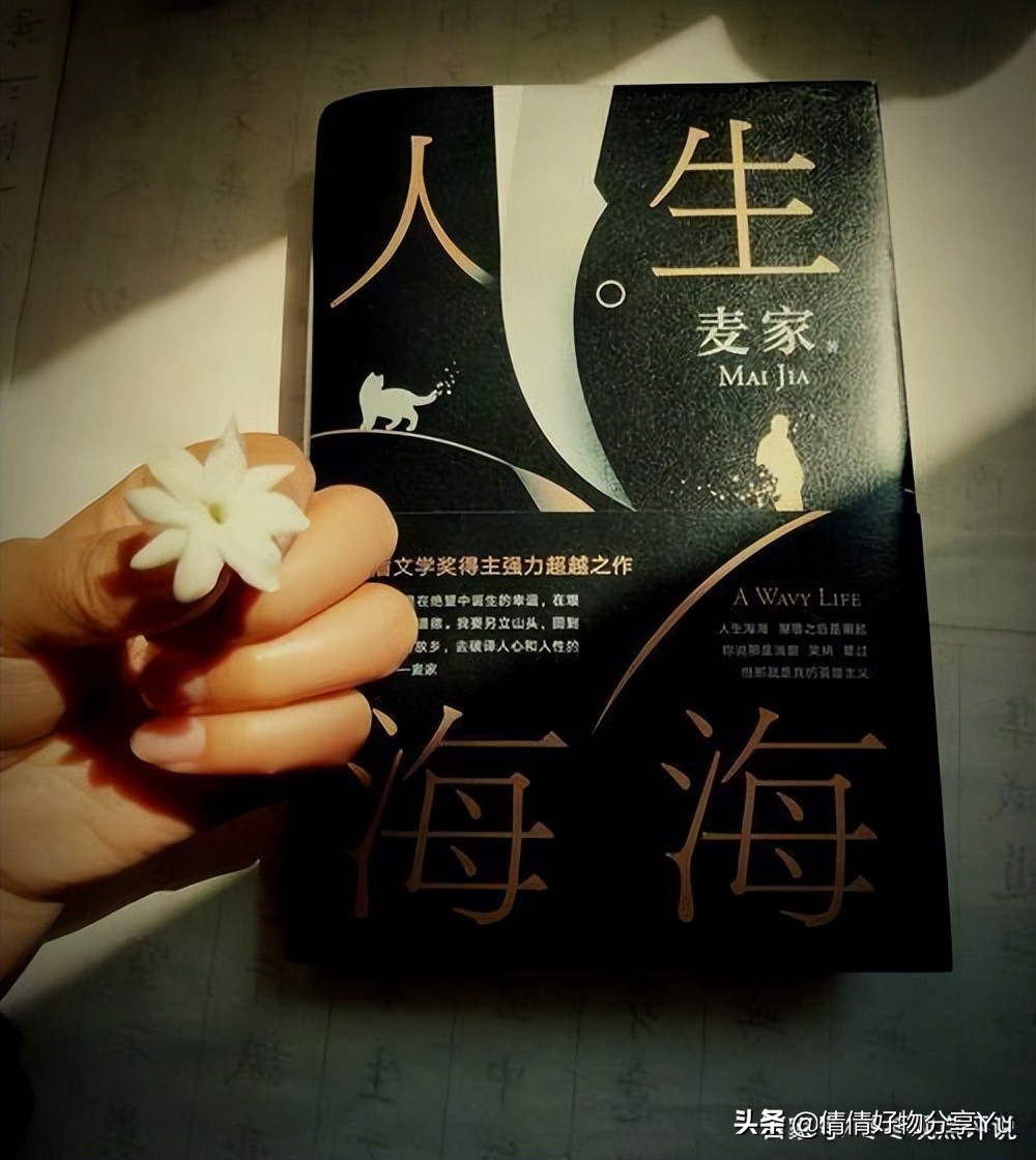 《人生海海》：层次越高的人，越懂得放低身段