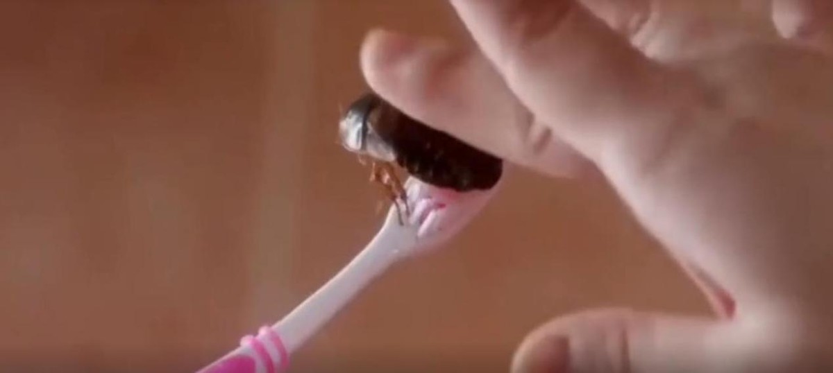 “一笑成名”谢依霖：凭借搞怪火遍两岸三地，一度成为小s接班人