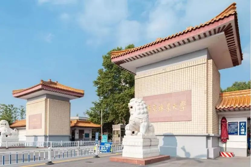 南京林业大学面积（选择南京林业大学的十大理由）