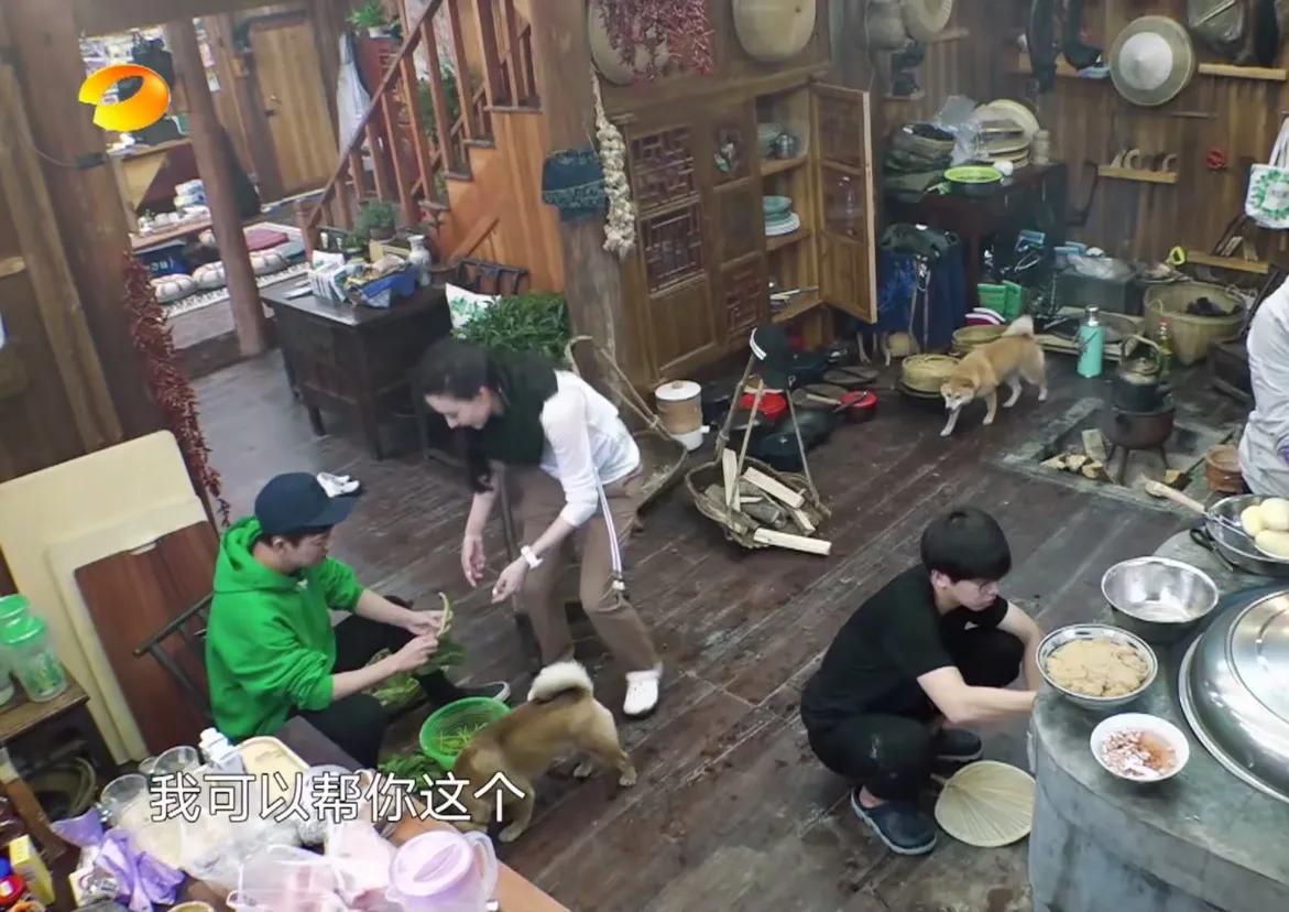 张柏芝节目里好啰嗦，但是我超级喜欢