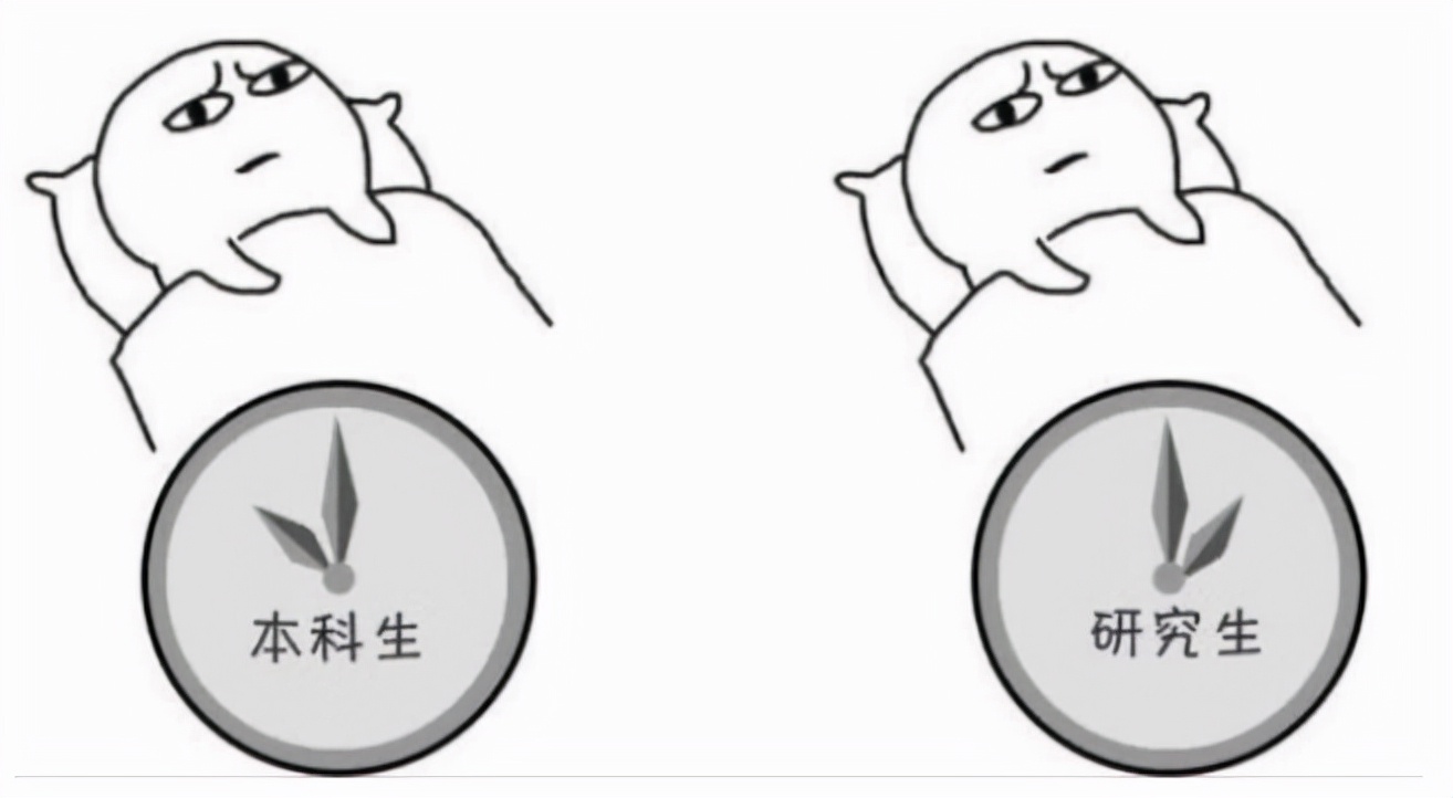 本科生和研究生的区别，4张图为你诠释真相，简直不要太真实
