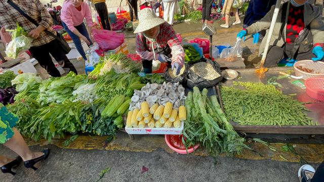 儋州游：看看农贸市场和古镇，最烟火气地方看真实的海南生活