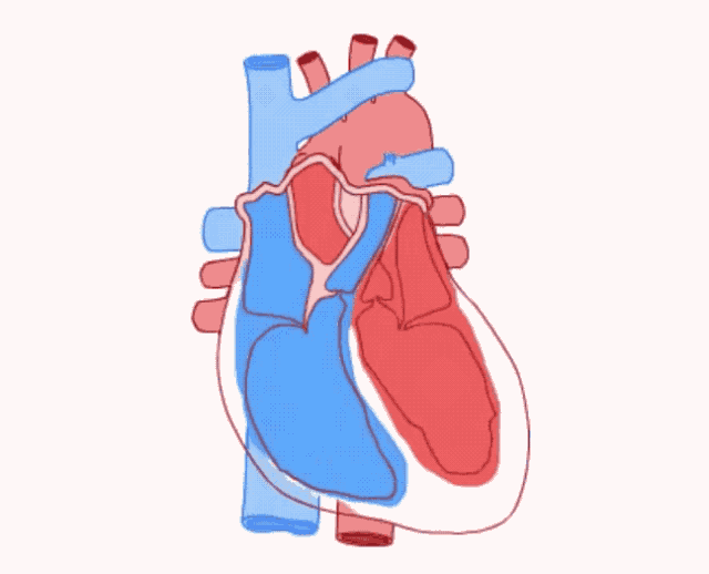 中国房颤日 | 关于“房颤”，你想知道的都在这里