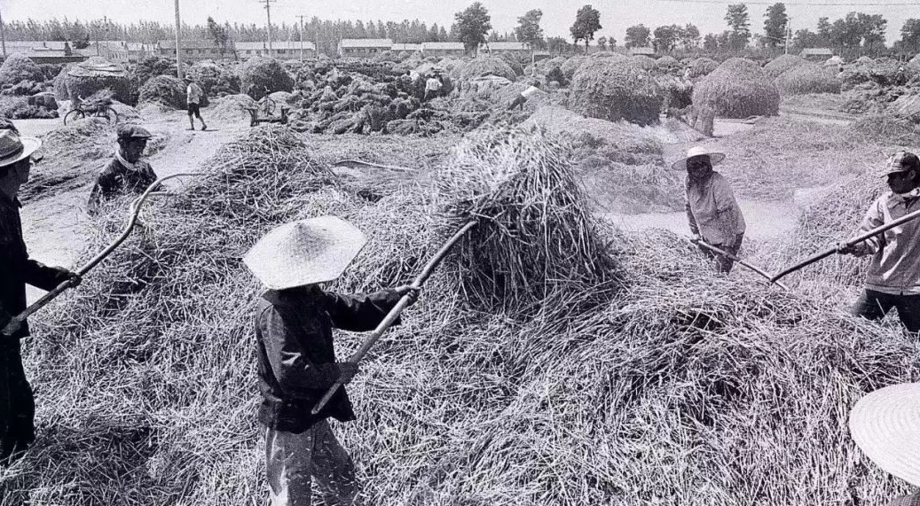 1952年，湖北老铁匠收到毛主席来信，村民才知其真实身份不简单