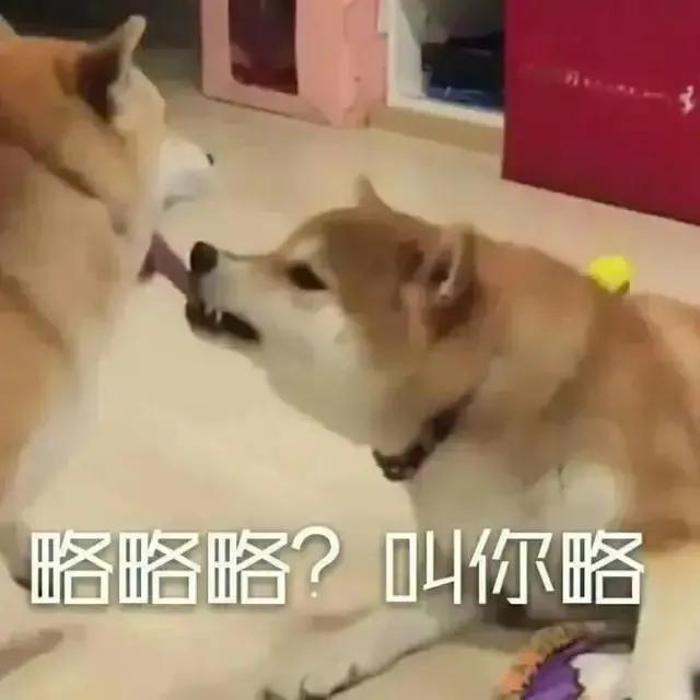 沙雕表情包
