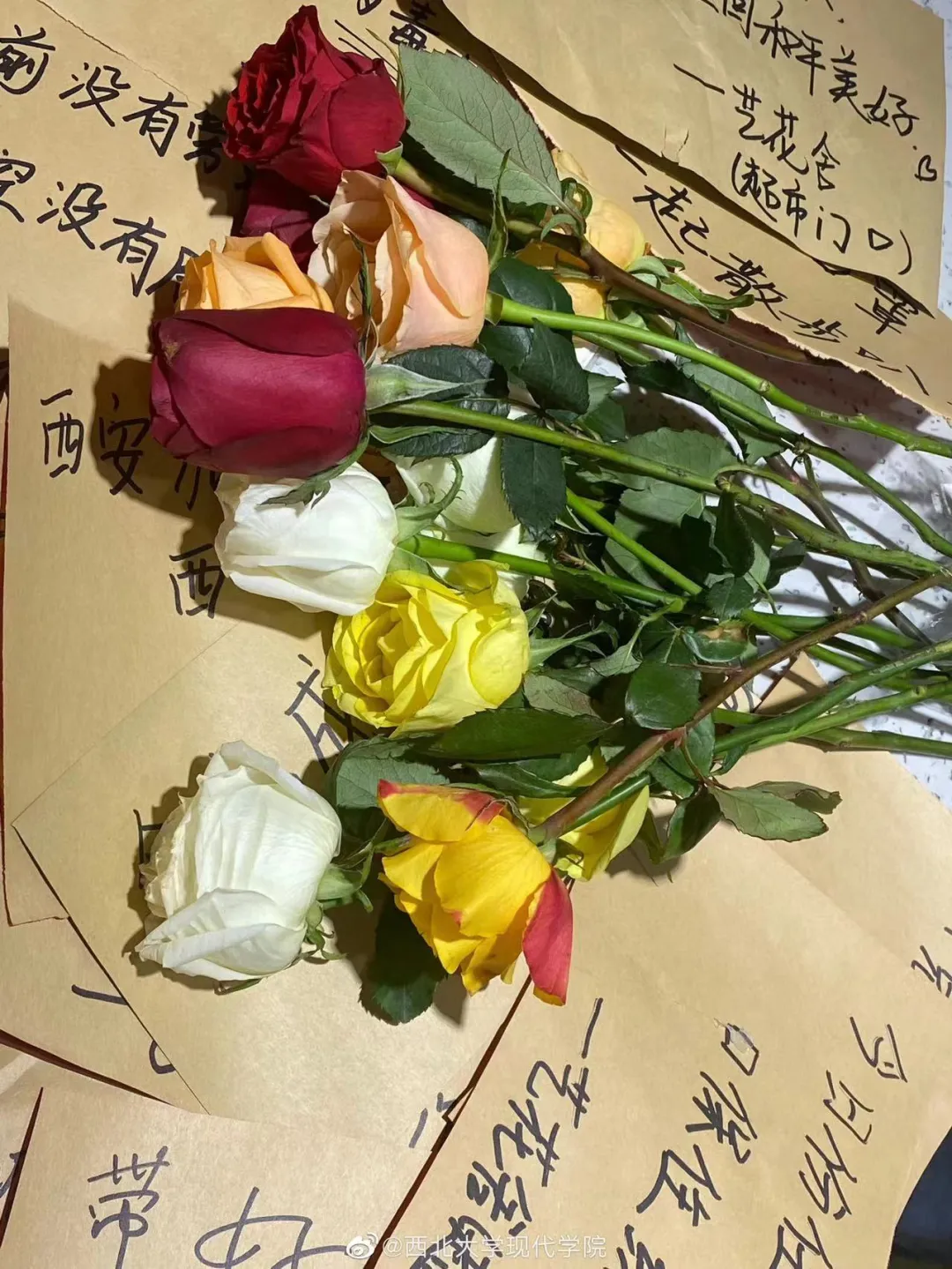 满满的红手印！陕西各大高校学生申请出战……