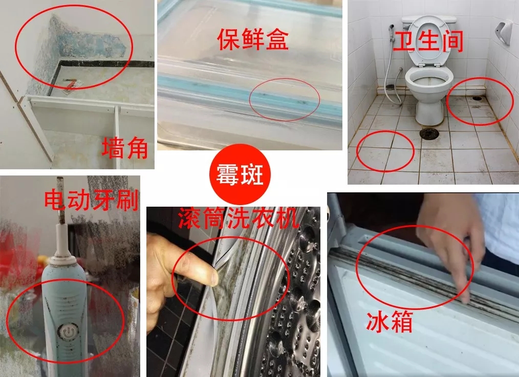 洗衣机3个月不洗，比马桶还脏！教你这么做，干净清新无异味