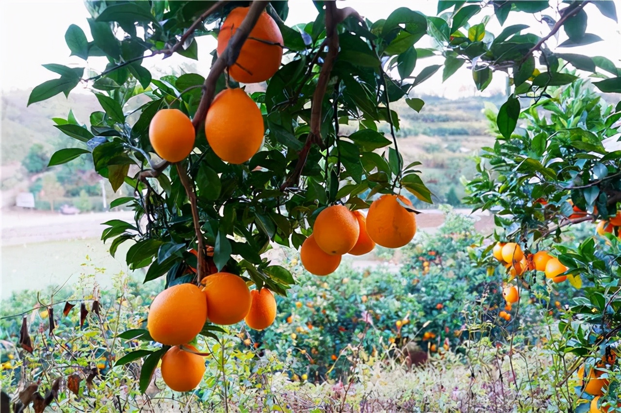 秘境贛南，紅色于都，4天3晚走遍于都小眾景點(diǎn)，美景美食全攻略