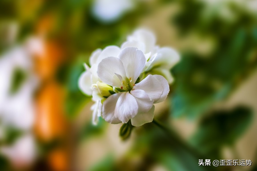 白羊座3.21-27周运势，眼高手低未必是坏事，只要能带来收益