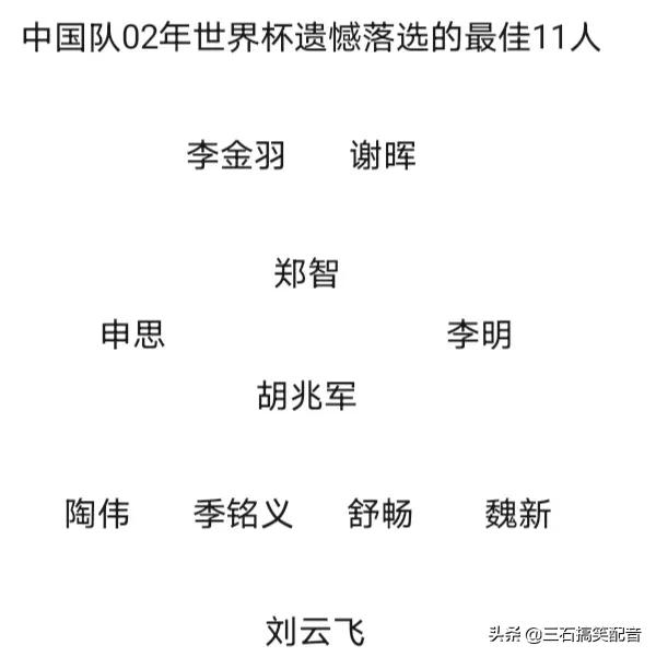 02世界杯中国唯一进球(中国队02年世界杯遗憾落选的最佳11人)