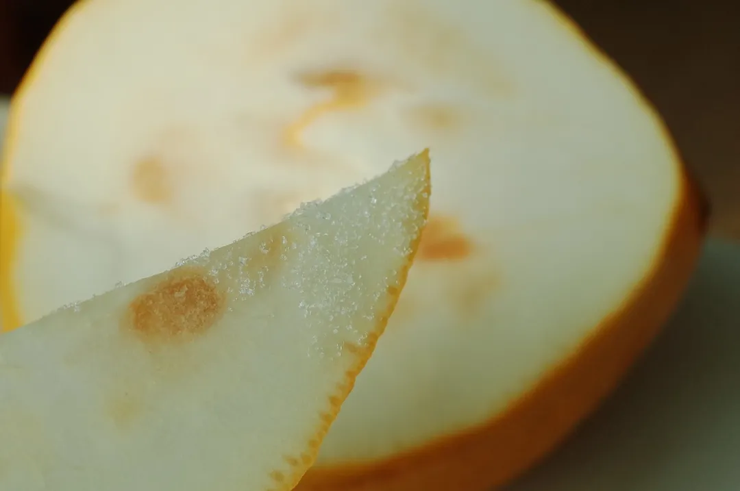 十几块买到的快乐,这不比奶茶香多了