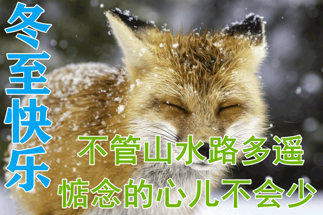 12月21日早上好祝福语图片 今日冬至愿你冬至快乐安好幸福到永远