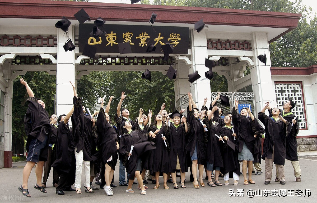 山东省农业大学（山东农业大学2021年录取分数详情及分析）