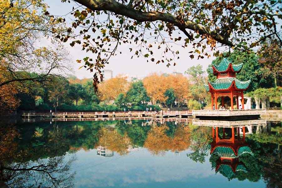 “学渣”逆袭正教授史：22岁攻克世界大难题，23岁升为985教授