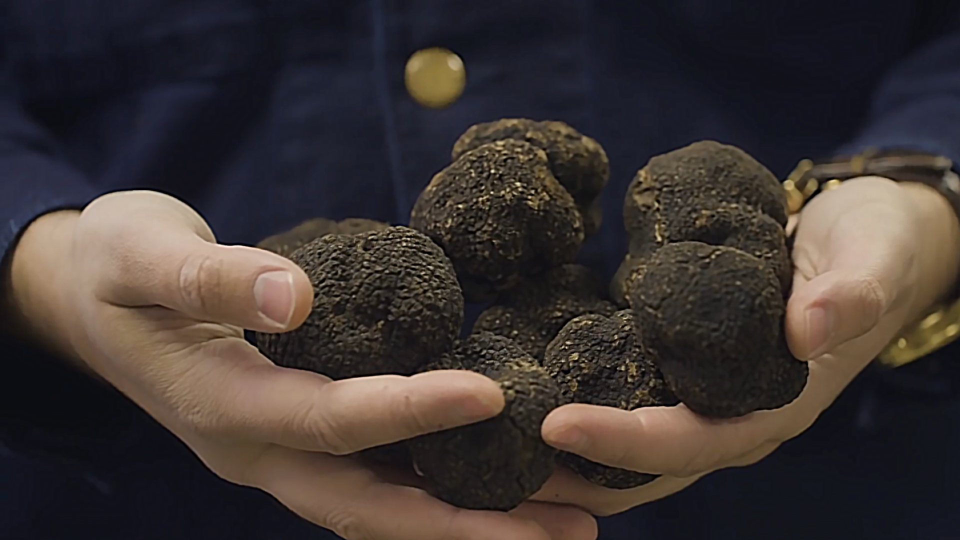 广东大时代黑松露价格(松露是世界三大珍肴之一) - 价格百科