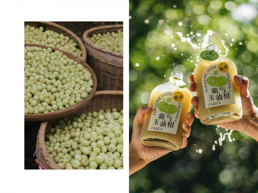 奈雪的茶大幅降价10元 承诺每月上新一款“1字头”产品