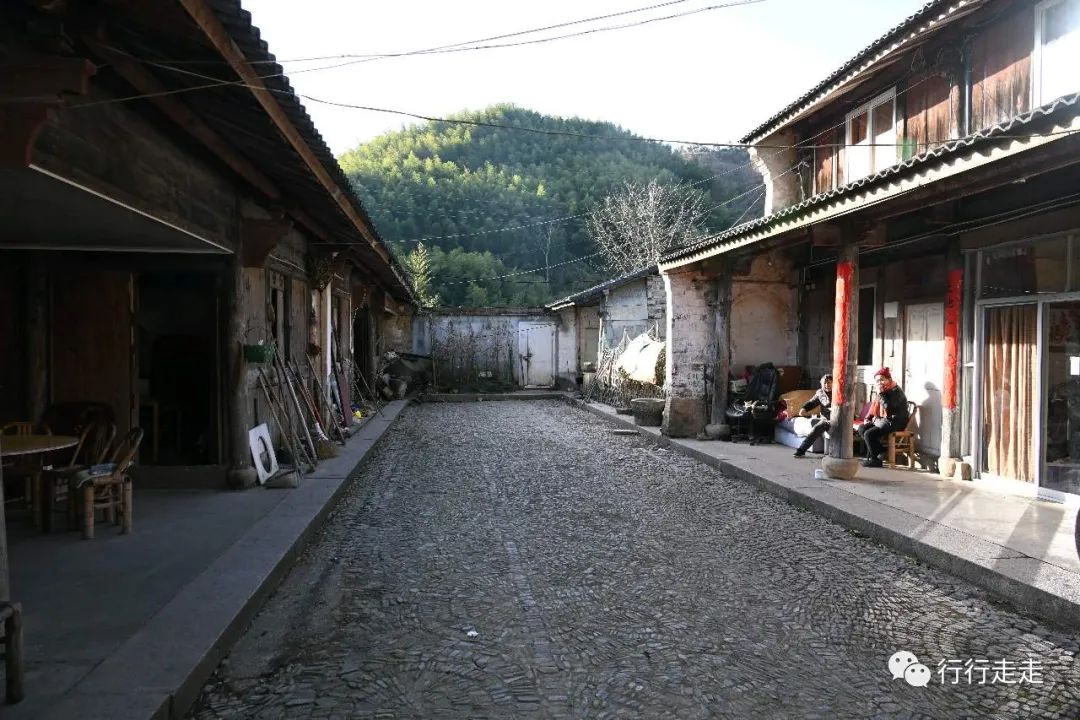 是卵石鋪就,陽光下坐著兩位阿婆,在嗑著爪子聊著天,一位姓楊,一位姓孫