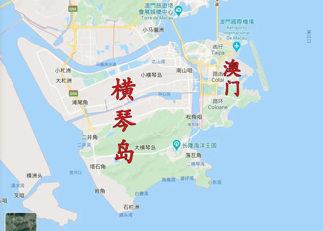 一边停办更名，一边扩张新校，大湾区国际教育为何动作频频？