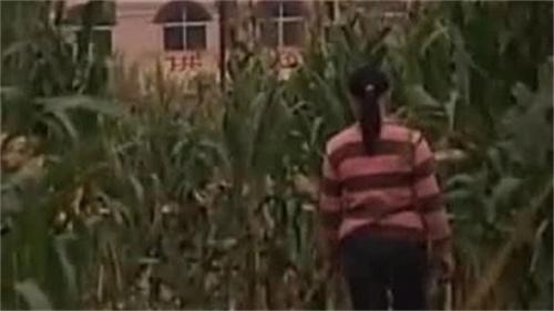 2004年，13岁女孩离奇失踪，被发现时身穿红衣躺在别人的坟墓中