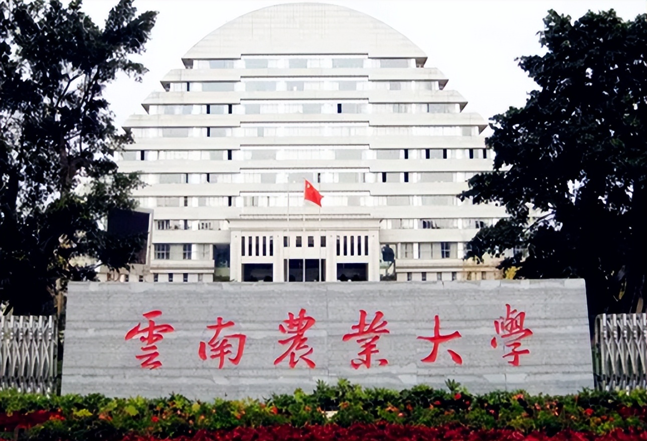 适合“一本压线生”报考的大学，2022考生要有数，捡到就是赚到