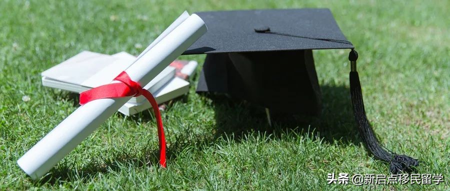 今年国家线号称“孔子来了都得调剂”，300万落榜生出路在哪里？