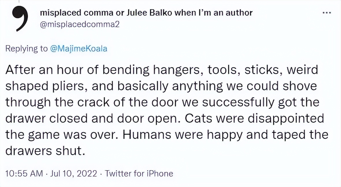 貓貓反鎖衛生間的門，鏟屎官從門縫裡，看到了哭笑不得的畫面