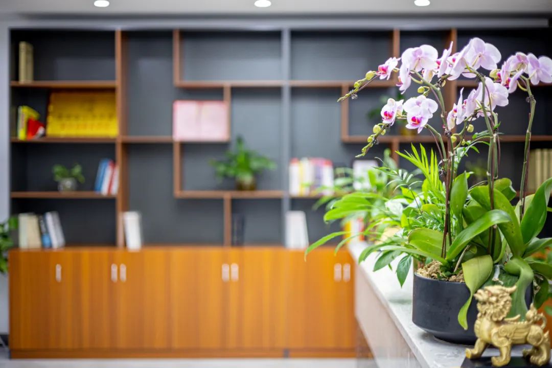 加入坤源衡泰，一起向未来