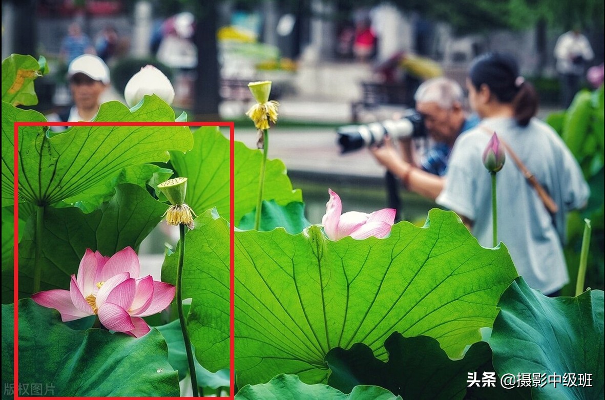 拍照的2個失敗案例，照片都是廢片，攝影愛好者少踩坑